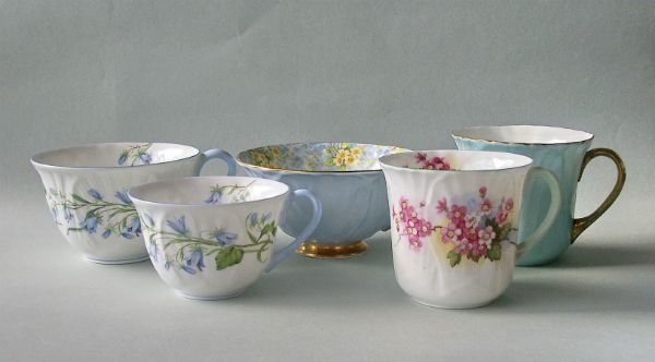 OLEANDER VARIATIONS 02